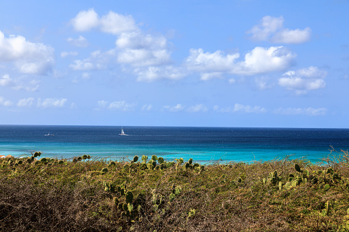 View of pacific ocean