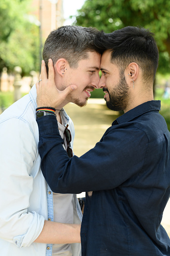 Side view of loving young gay couple in casual shirts smiling and looking at each other while hugging in sunny park together