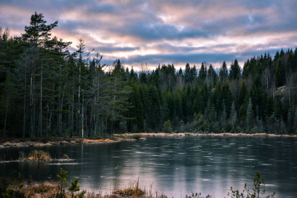 istock Frozen Lake at Dusk in a Norwegian Forest 1487895948