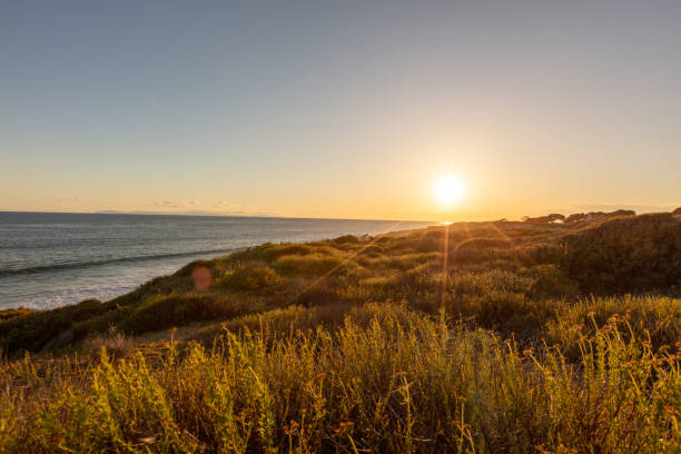 istock Sunset in Crystal Cove Beach 1487896024