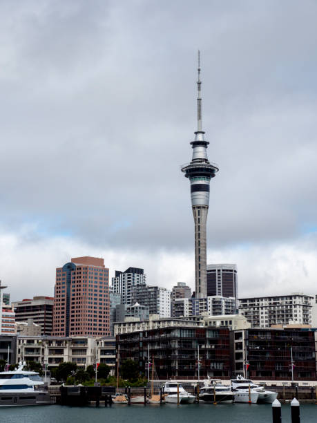 istock Downtown Auckland, New Zealand 1487896190