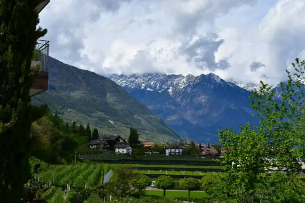 Blick nach Lana in Südtirol