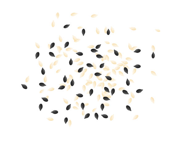 ilustraciones, imágenes clip art, dibujos animados e iconos de stock de vista superior de semillas de sésamo en blanco y negro salpicando en el suelo, ilustración vectorial plana. - sesame seed white isolated on white