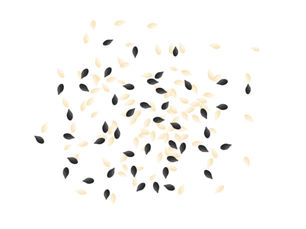 вид сверху на черно-белые семена кунжута, брызгающие на пол, плоская векторная иллюстрация. - sesame stock illustrations