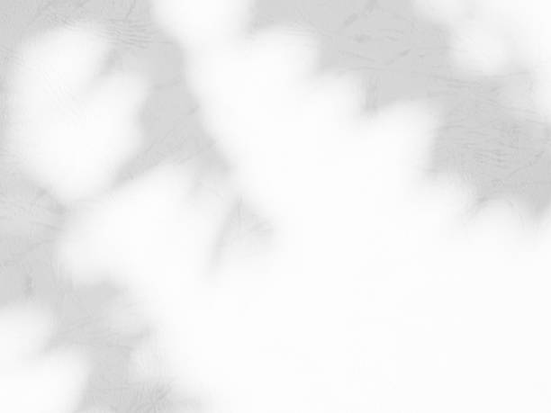 istock Abstract Light Shadow Leaf on blur Wall Floor Cement Background,Sunlight Overlay Plant Tree Leaves Backdrop,Nature Grey Soft Shade Pattern Template Shape Natural Bokeh,Stone Marble Surface 1487898600