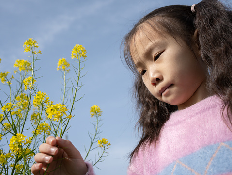 girl picking off small yellow flowers