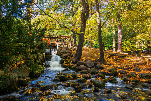 istock Oliwski Park Autumn Landscape In Gdansk 1487901552