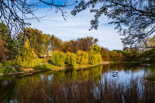 istock Autumn Landscape Park In Warsaw 1487901638