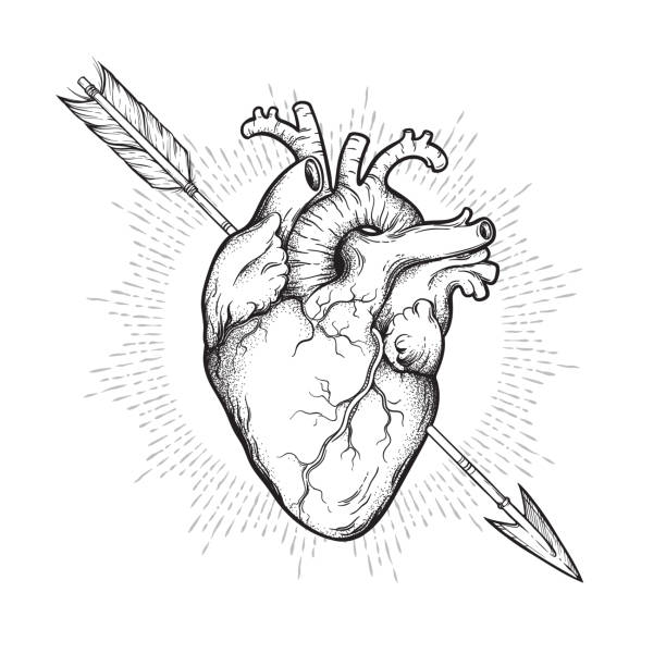 인간의 심장은 그룹, 화살, 손으로 그린 라인 아트 및 도트 워크로 뚫렸습니다. 플래시 문신 또는 인쇄 디자인 벡터 그림. - valentines day hearts flash stock illustrations