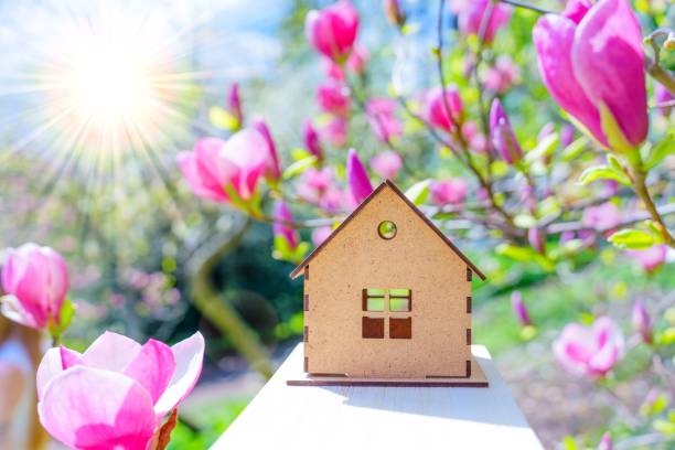 istock House Model against Blooming Magnolia Flowers with Sun Rays 1487903456