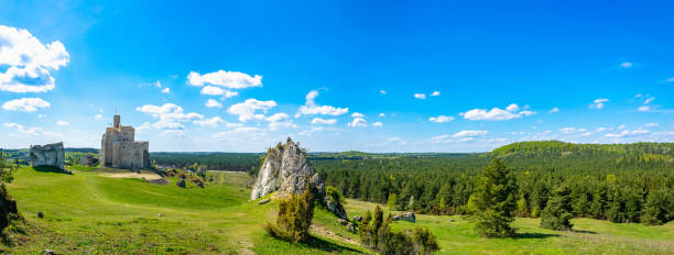 Poland, Mirow - 05/05/2023 - old ruins of the castle in Mirow
