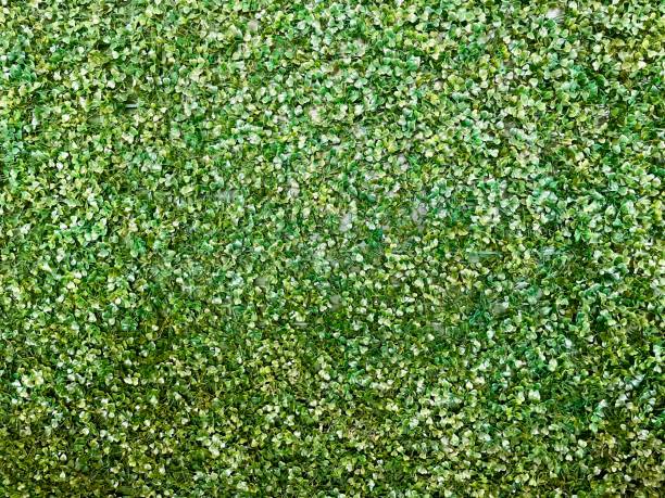 istock The walls are decorated with artificial grass 1487907372