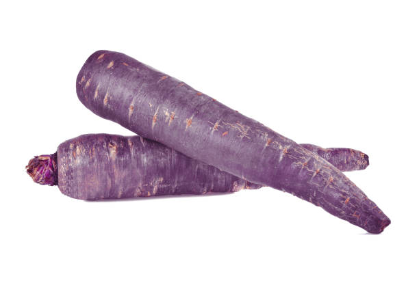 istock purple carrot isolated on white background 1487909269