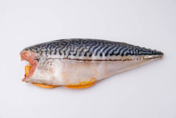 Raw mackerel stuffed with lemon and spices on a white background.