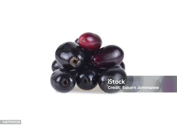 Java Plum Hd Jambolan Plum Or Java Plum On White Background Stock Photo - Download ...