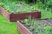 A modern vegetable garden with raised bricks beds . Raised beds gardening in an urban garden .