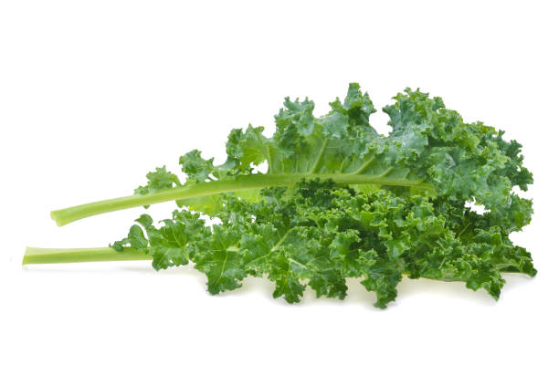 istock Creative layout made of kale on white background 1487913014