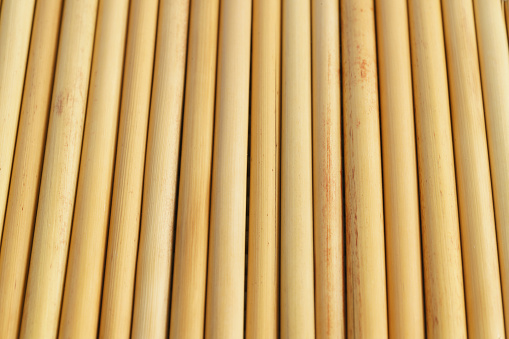Wood bamboo background