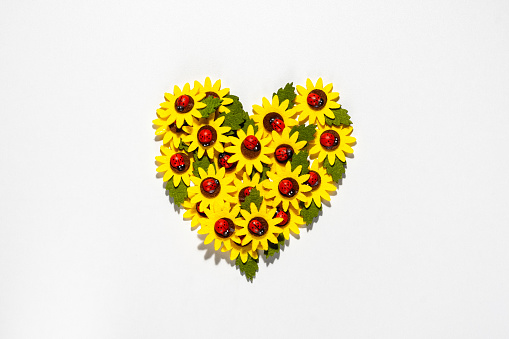 Yellow flowers. Floral heart composition isolated on white background.