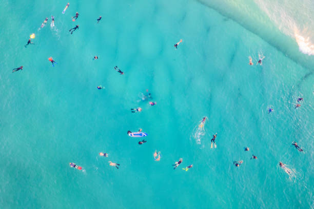 istock Lots of divers exploring the Australian coast 1487922463