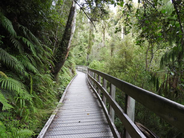 istock New Zealand 1487924424