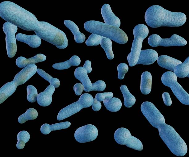 istock Isolated Clostridium tetani in the black background 1487924637