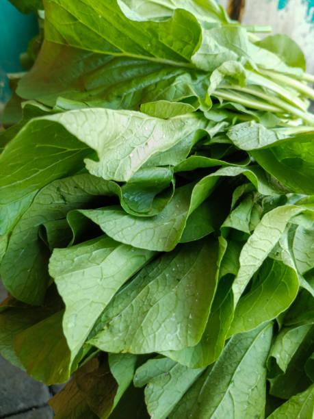 istock Photo of fresh mustard greens 1487925766