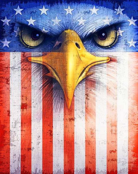 illustrazioni stock, clip art, cartoni animati e icone di tendenza di aquila calva con la bandiera degli stati uniti d'america - north america bald eagle portrait vertical