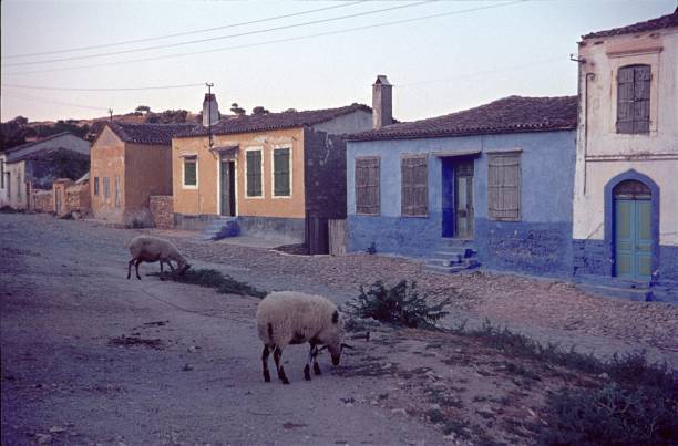 istock Village street in Turkey 1487927114
