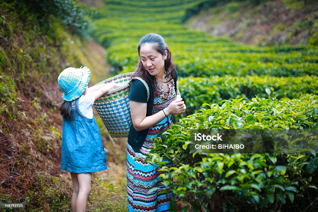 Mutter und Tochter - Lizenzfrei Agrarbetrieb Stock-Foto