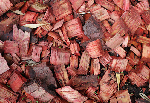 red wood chips close-up. Wood background