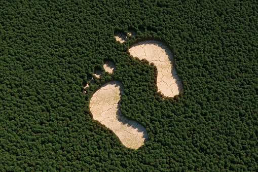 Dry zone shaped of human footprints in the middle of the forest symbolizing deforestation, top view, (3d render)