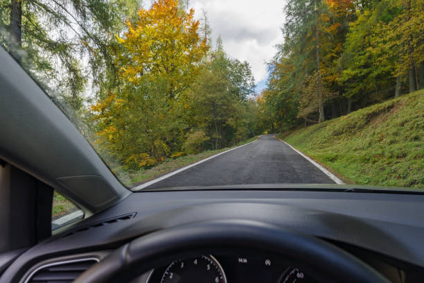 istock Driving on a country road through a forest 1487933696