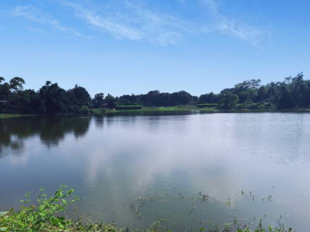 istock Lake in the park 1487934584