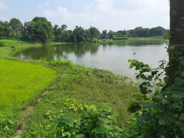 istock Lake in the park 1487934599