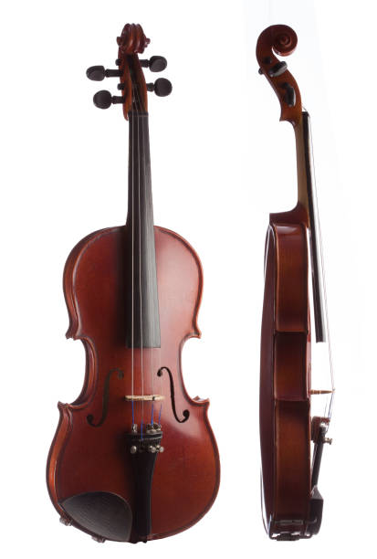 istock Front and side  view of a violin 1487936416