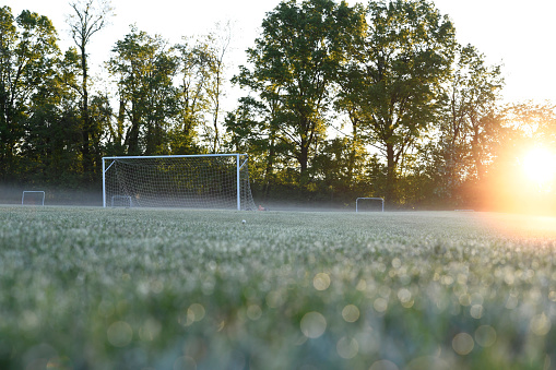 Morning sunshine and dew on soccer fields.