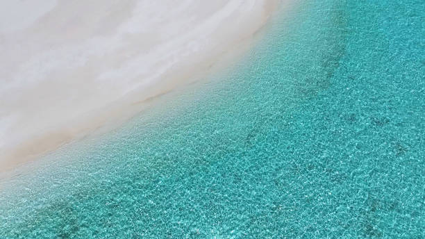 istock Sand beach with crystal clear water on beach background 1487937695