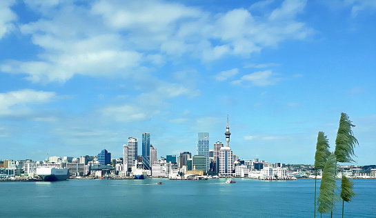 Auckland view from Devonport