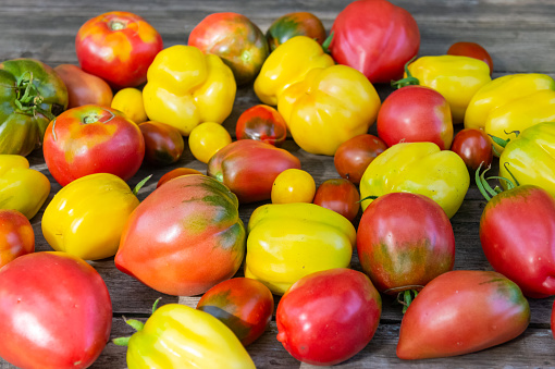 A set of different varieties of tomatoes arranged on a wooden table.