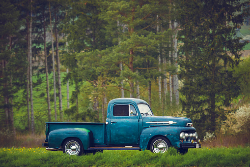 Classic oldtimer vintage American pick-up truck of the 1950s on a country road on a sunny summer day.