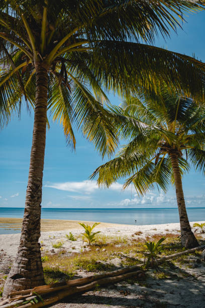 istock White Sands Beach Nukus Island in East Seram, Maluku 1487942019