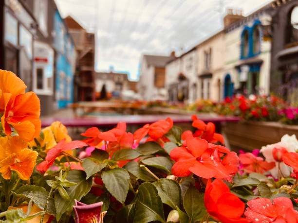 istock Flowers in a street 1487943951
