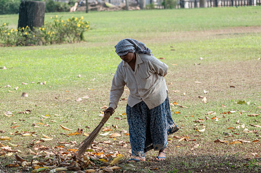 Old Goa, India - January 2023: An Indian woman sweeping dry leaves and garbage with a broomstick in a garden.