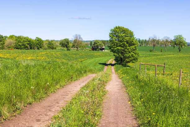 istock Dirt road in a rural landscape a sunny summer day 1487945905