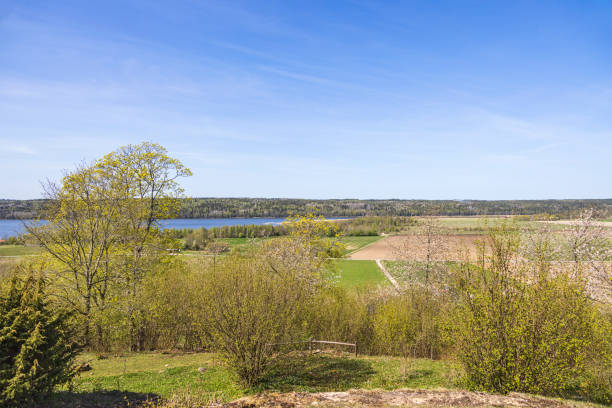 istock View of a beautiful spring landscape 1487946057