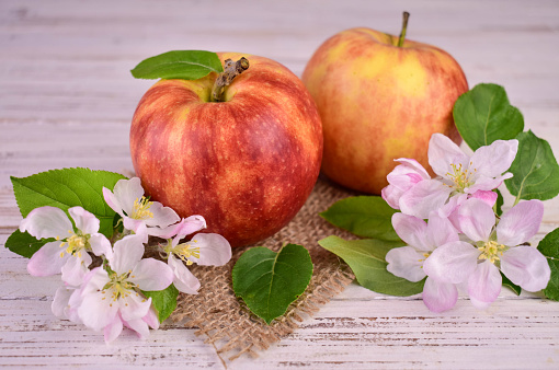 Ripe red apples and apple tree flowers on a white background.Close-up.