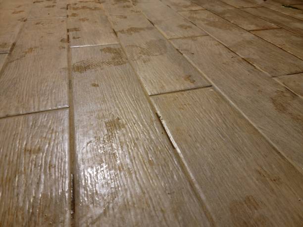 istock wet foot prints on brown tile wooden floor 1487948690