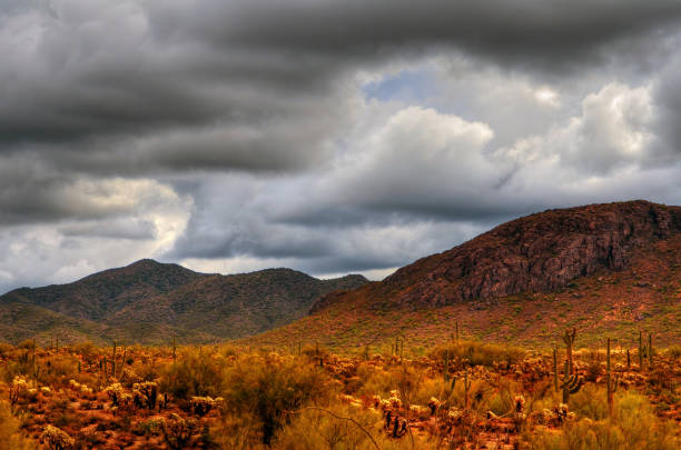 istock Storm Clouds Sonora Desert Arizona 1487949372