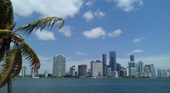 Amazing view of Miami